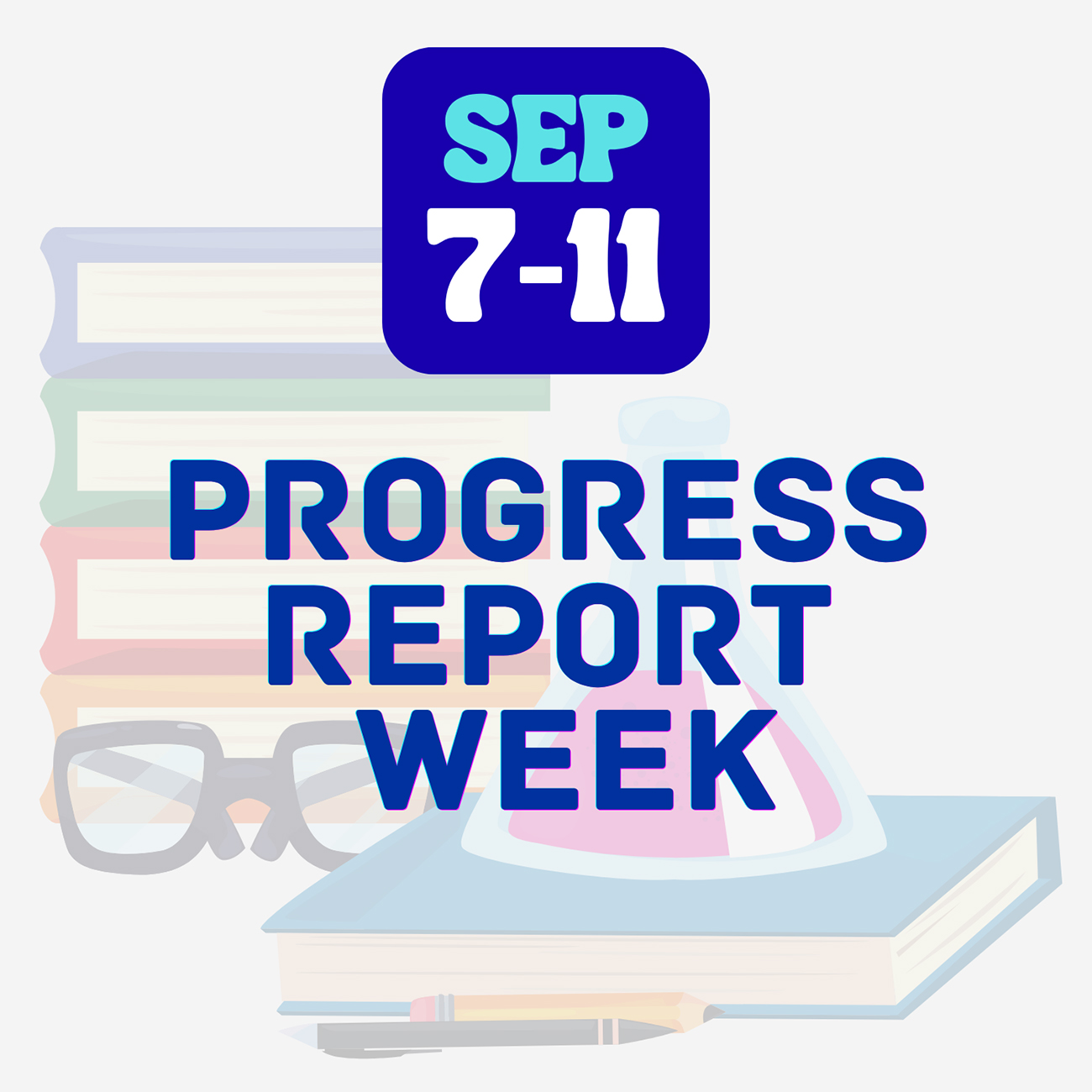 Progress Report Week